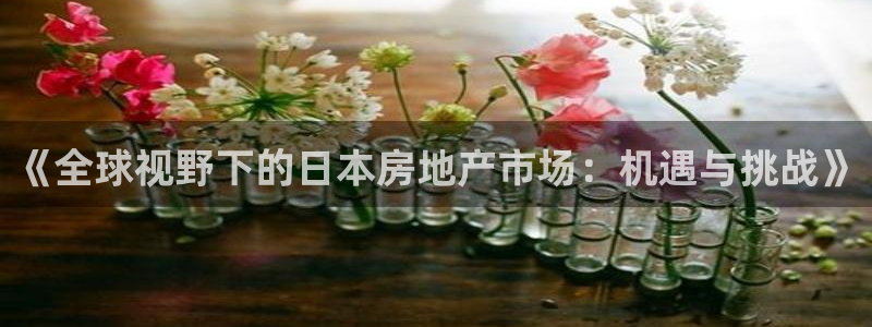 和记大合城dk2官网：《全球视野下的日本房地产市场：机遇与挑