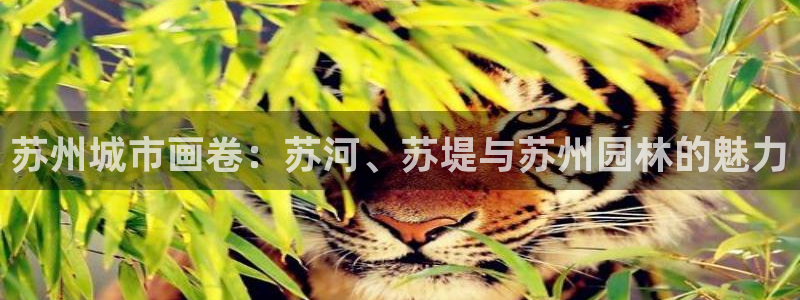 和记官网：苏州城市画卷：苏河、苏堤与苏州园林的魅力