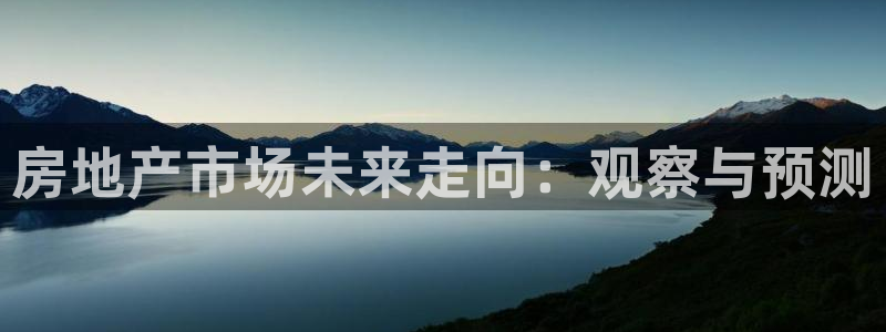 和记官网手机版：房地产市场未来走向：观察与预测