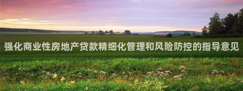 和木记官网：强化商业性房地产贷款精细化管理和风险防控的指导意