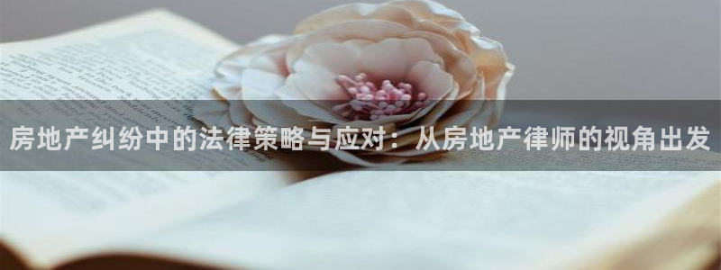 菲律宾和记官网：房地产纠纷中的法律策略与应对：从房地产律师的