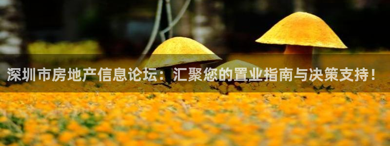 和记娱乐怡情博官网：深圳市房地产信息论坛：汇聚您的置业指南与