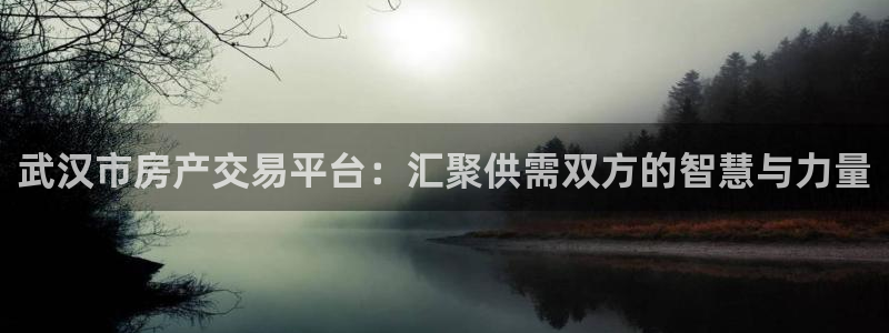 和记家家加盟官网：武汉市房产交易平台：汇聚供需双方的智慧与力