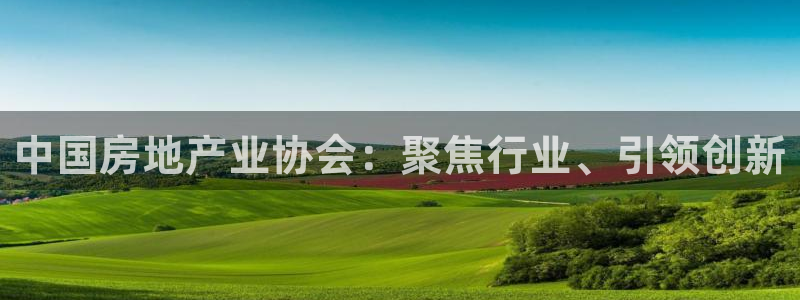 长江和记官网：中国房地产业协会：聚焦行业、引领创新
