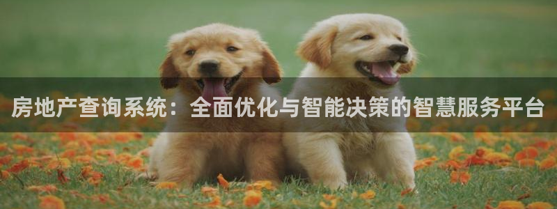 和记体育官网：房地产查询系统：全面优化与智能决策的智慧服务平