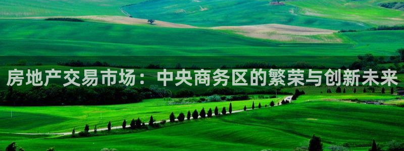缅甸和记国际官网：房地产交易市场：中央商务区的繁荣与创新未来