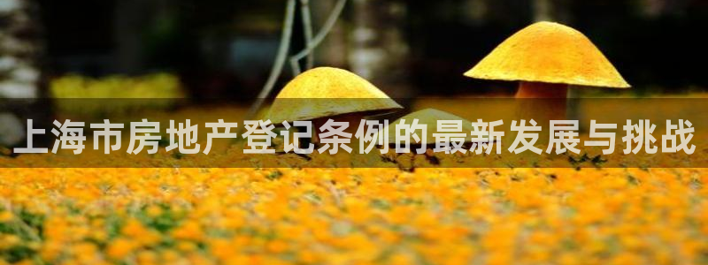 和记娱乐 官网：上海市房地产登记条例的最新发展与挑战