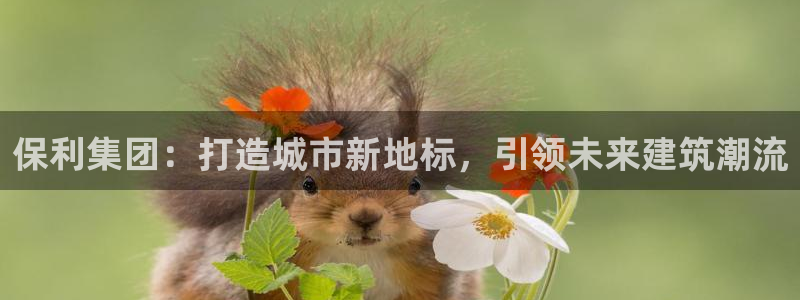 果博官网和记：保利集团：打造城市新地标，引领未来建筑潮流