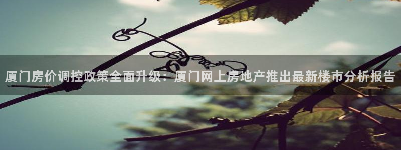 郑州和记酒业官网：厦门房价调控政策全面升级：厦门网上房地产推
