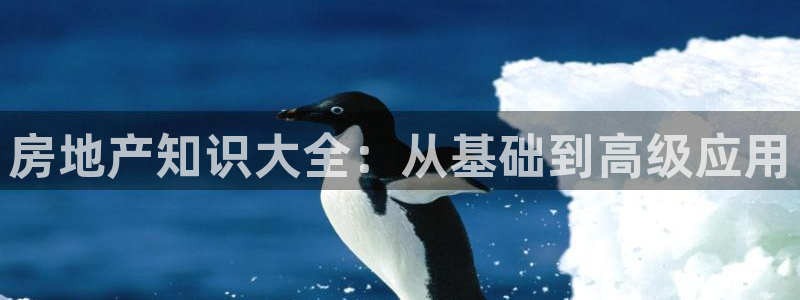 和记3卡官网是哪：房地产知识大全：从基础到高级应用