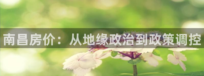 香港长江和记官网：南昌房价：从地缘政治到政策调控