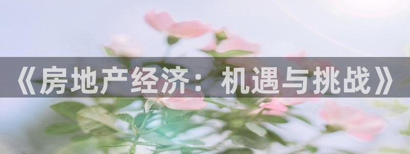和行记义工网官网：《房地产经济：机遇与挑战》