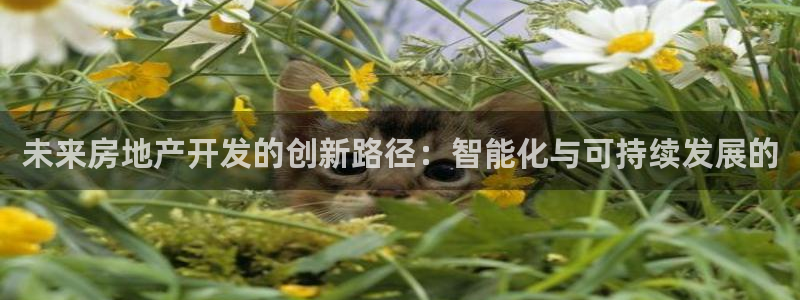 和记娱乐手机官网：未来房地产开发的创新路径：智能化与可持续发