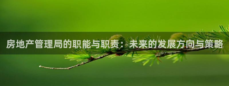 重庆和记黄埔官网：房地产管理局的职能与职责：未来的发展方向与