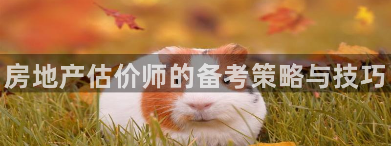 和记开户官网：房地产估价师的备考策略与技巧