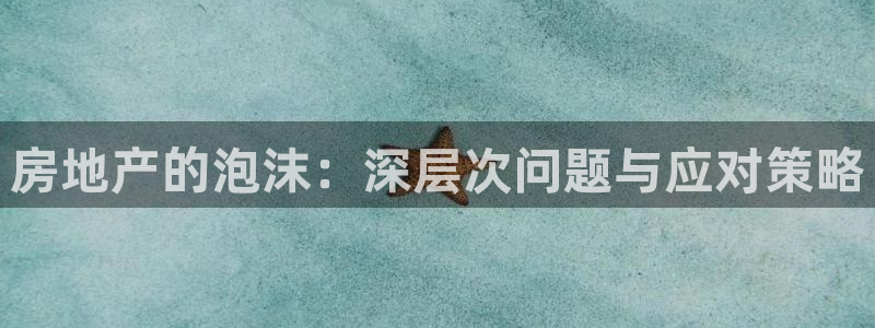 毛记和意冒菜官网加盟：房地产的泡沫：深层次问题与应对策略