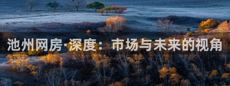 缅甸和记官网：池州网房·深度：市场与未来的视角