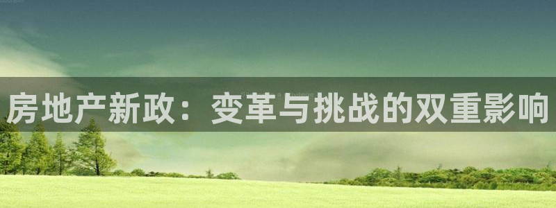 和生记官网：房地产新政：变革与挑战的双重影响
