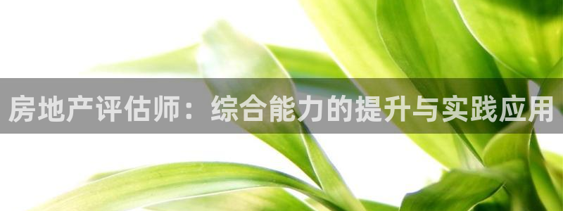 桃源记九游和官网：房地产评估师：综合能力的提升与实践应用