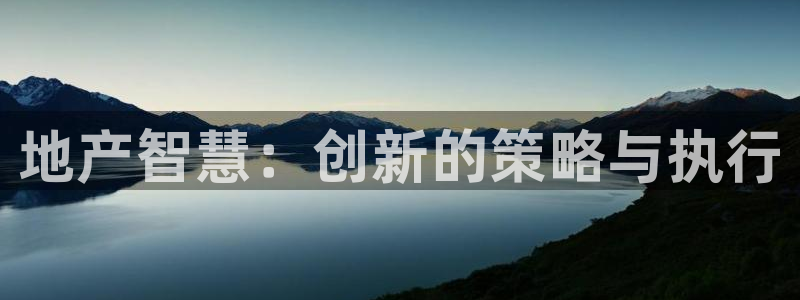 和记官网是一个什么平台：地产智慧：创新的策略与执行