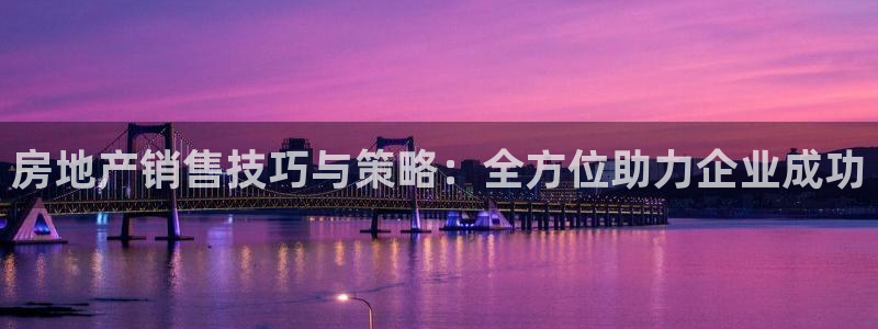 和记茶餐厅官网：房地产销售技巧与策略：全方位助力企业成功