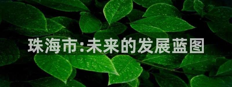 广州和记黄埔官网：珠海市:未来的发展蓝图