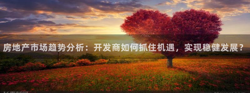 印尼和记官网：房地产市场趋势分析：开发商如何抓住机遇，实现稳