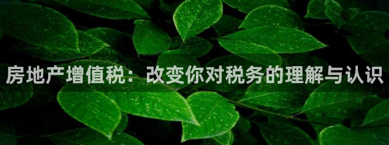 和记网站官网：房地产增值税：改变你对税务的理解与认识