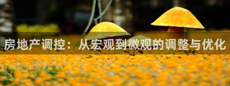 和记官网备用客户端：房地产调控：从宏观到微观的调整与优化