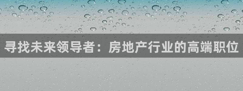 和记平台网站官网：寻找未来领导者：房地产行业的高端职位