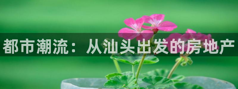 和黄记官网：都市潮流：从汕头出发的房地产