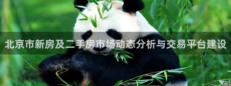 和兴记官网：北京市新房及二手房市场动态分析与交易平台建设