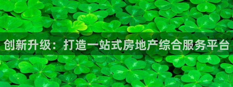 缅甸和记平台官网：创新升级：打造一站式房地产综合服务平台
