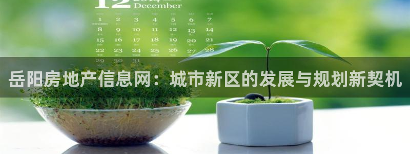 和记中国官网：岳阳房地产信息网：城市新区的发展与规划新契机