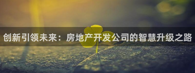 和记h88永久官网：创新引领未来：房地产开发公司的智慧升级之