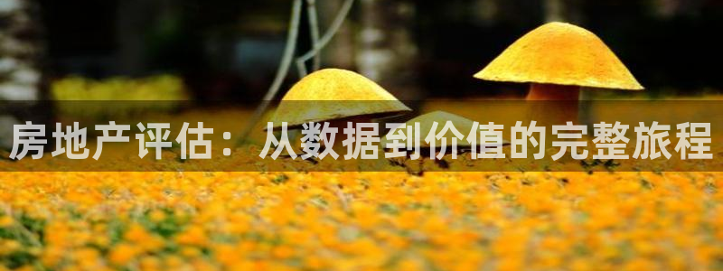 香港3和记官网：房地产评估：从数据到价值的完整旅程