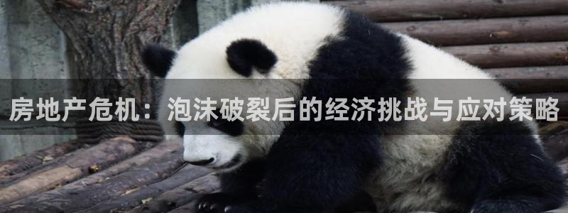 香港和记隆官网：房地产危机：泡沫破裂后的经济挑战与应对策略
