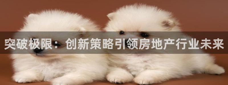 和记娱乐 官网：突破极限：创新策略引领房地产行业未来