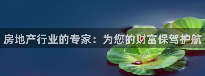 和记3官网：房地产行业的专家：为您的财富保驾护航