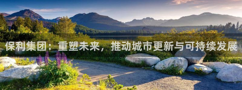 和记娱乐 怡情搏娱官网：保利集团：重塑未来，推动城市更新与可