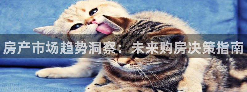 和记娱乐怡情博官网：房产市场趋势洞察：未来购房决策指南