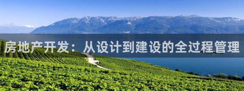 和记娱乐app官网：房地产开发：从设计到建设的全过程管理