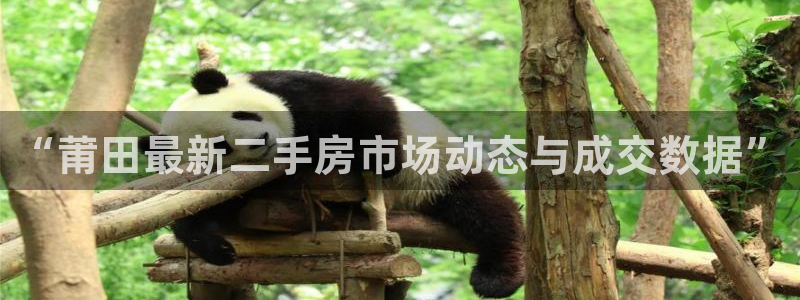 和记h88官网登陆：“莆田最新二手房市场动态与成交数据”