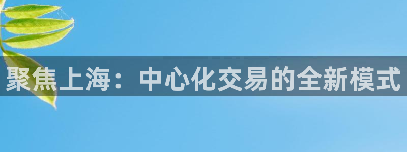 和记一品官网：聚焦上海：中心化交易的全新模式