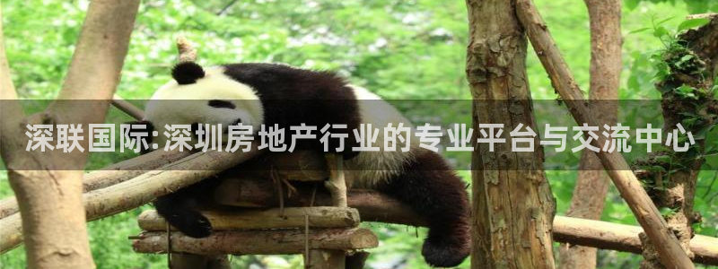 印尼和记官网：深联国际:深圳房地产行业的专业平台与交流中心