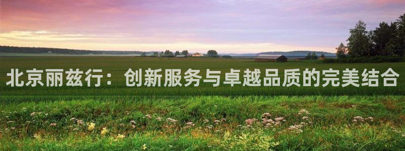 和记怡情博物官网：北京丽兹行：创新服务与卓越品质的完美结合