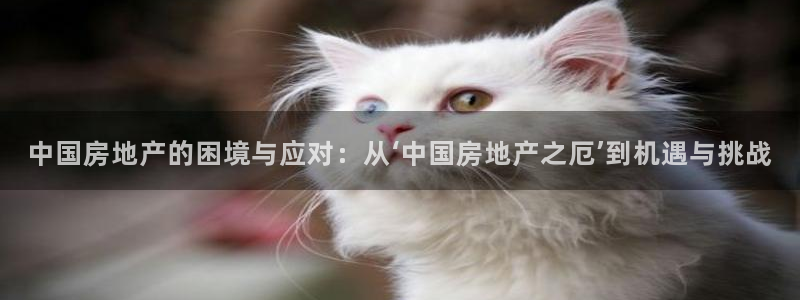 和记官网入口：中国房地产的困境与应对：从‘中国房地产之厄’到