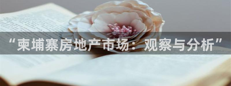 和记官网：“柬埔寨房地产市场：观察与分析”