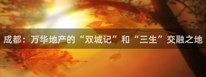 和记h88官网登陆：成都：万华地产的“双城记”和“三生”交融