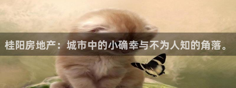 和记娱乐app官网：桂阳房地产：城市中的小确幸与不为人知的角